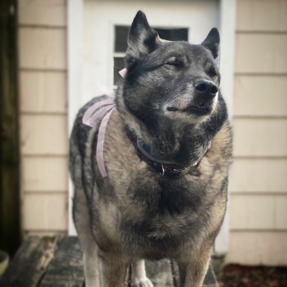 Meet your Posher, Nicole - Picture 11 of 16